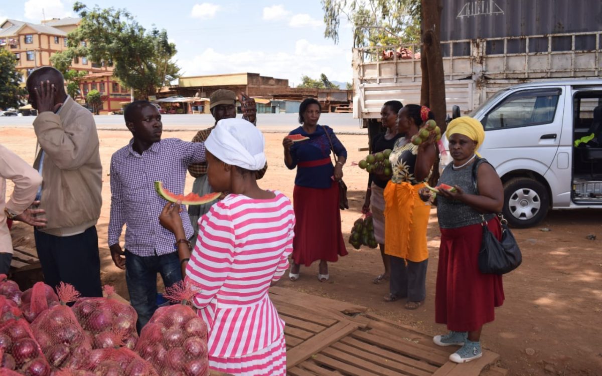 Emali Greenland Farm Site Visit